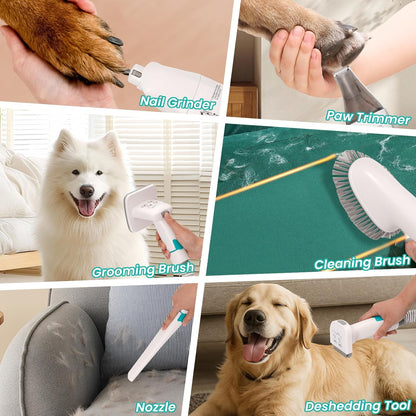 Hundeschermaschine Mit Staubsauger, 13000PA, 3 Einstellbare Saugstufen