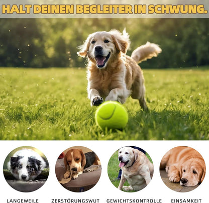Automatic Dog Ball Launcher Ballwurfmaschine Für Hunde Mit 6 Tennisbällen, 3 Distanzstufen (3–9 M), Wiederaufladbar – Automatischer Ballwerfer Für Kleine & Mittlere Hunde