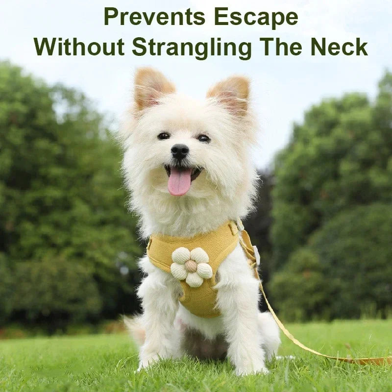 Pet Vest Traction Rope Dog Cartoon Three-Dimensional Accessories Teddy Walking Dog Rope Cat Going Out Chest and Back Protection
