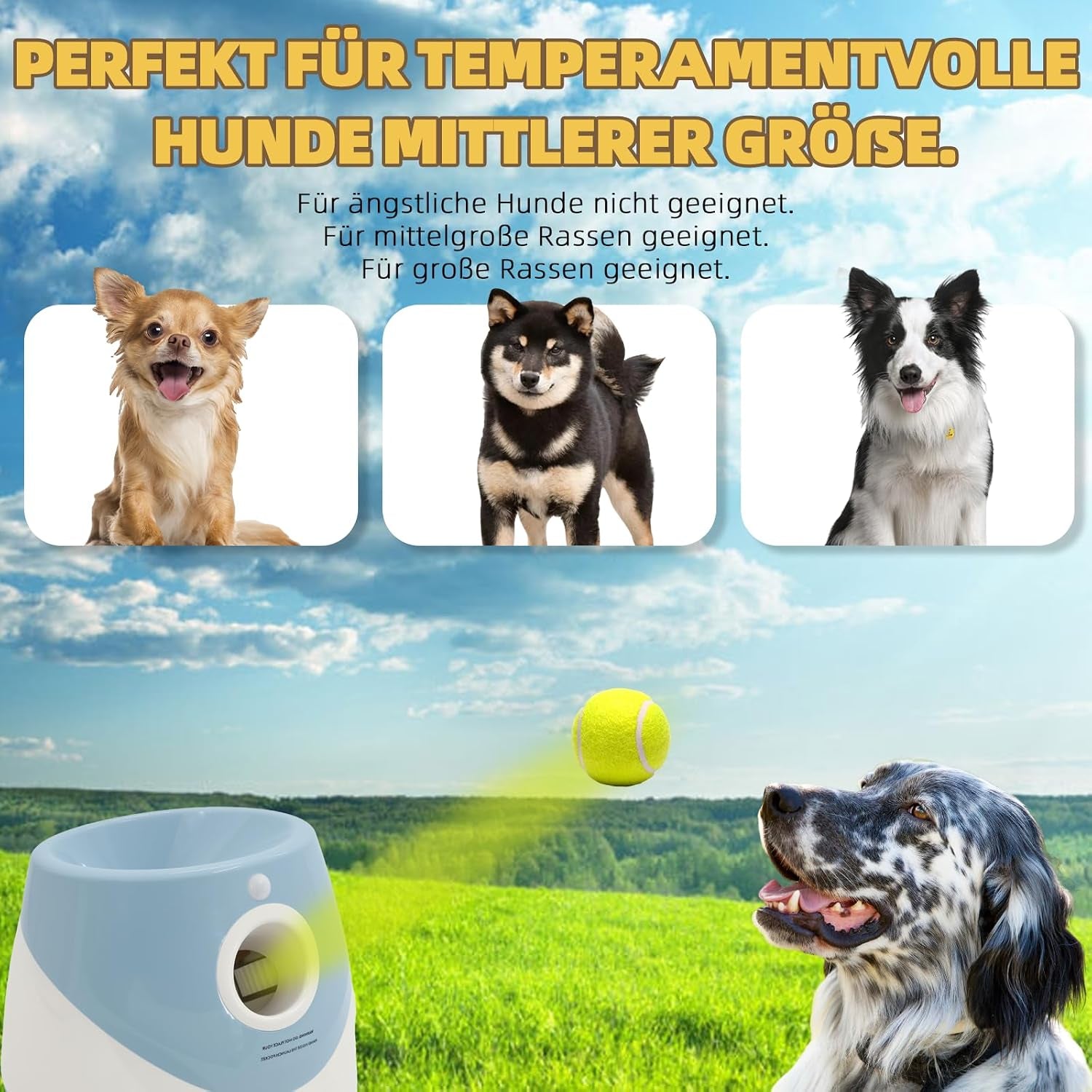 Automatic Dog Ball Launcher Ballwurfmaschine Für Hunde Mit 6 Tennisbällen, 3 Distanzstufen (3–9 M), Wiederaufladbar – Automatischer Ballwerfer Für Kleine & Mittlere Hunde